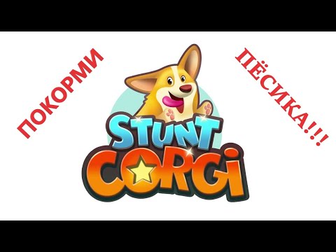 Видео: Тренирую корги в Stunt Corgi VR