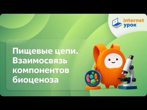 Видео: Пищевые цепи. Взаимосвязь компонентов биоценоза. Видеоурок по биологии 7 класс