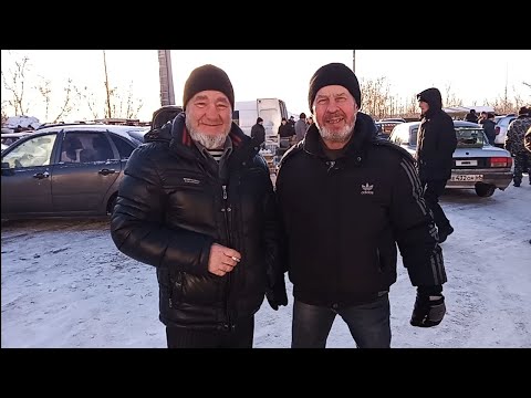 Видео: Ярмарка голубей г.Тамбов 03.02.2024г