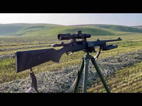 Видео: ATA TURQUA .308 win стрельба до 500м