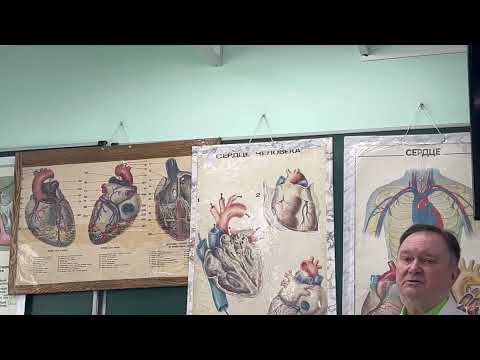 Видео: Видеолекция "Сердечно-сосудистая система"