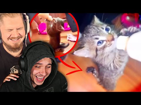 Видео: Заставляю рассказчика смотреть мои мемы