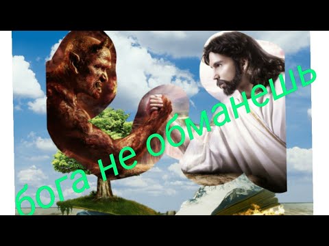 Видео: ЭКО=РАК