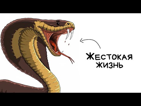Видео: ты королевская кобра (И ЭТО ПОЛНЫЙ ОТСТОЙ)
