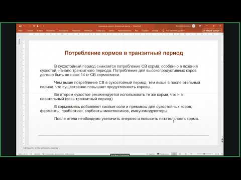 Видео: Кормление высокоудойных коров в транзитный период вебинар 12 08 2025 от Амикс