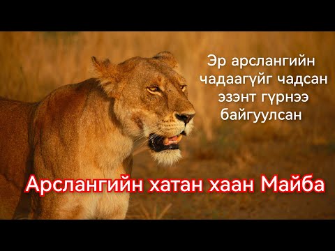 Видео: Эрслэнгийн Эзэнт гүрэн буюу Майбагийн түүх. Гоё Түүхүүд Goy tuuhuud mongol heleer kino duu 2024