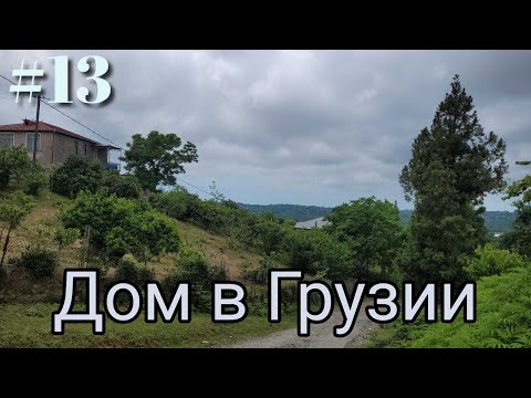 Видео: #13 Дом в Грузии. Завели цыплят