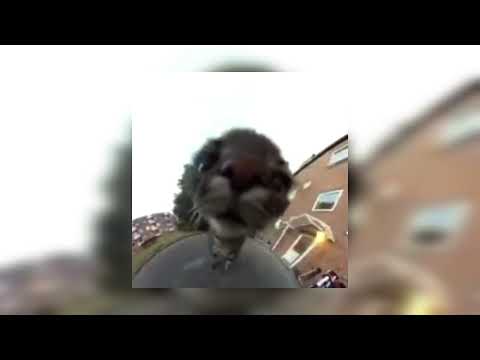 Видео: малиновая лада - (speed up)