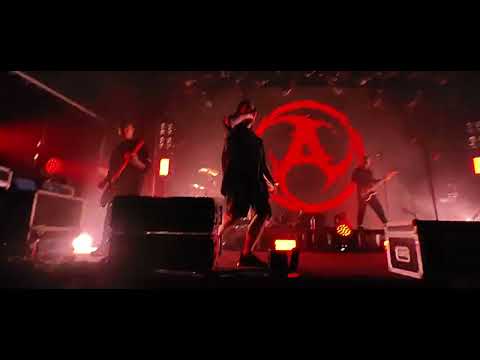 Видео: [AMATORY] Live Нижний Новгород 23.11.2024 г.