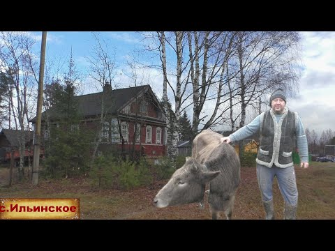 Видео: Красивое село в живописном месте на берегу реки. Настоящий труженик села. Шикарный гостиничный дом.