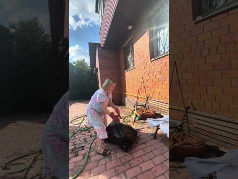 Видео: 24 августа 2025 г.