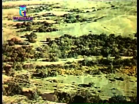 Видео: Дестан о Туркменах