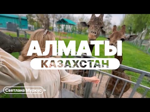 Видео: Алматы 2024. Работает ли карта мир? Как сделать мультикарту гражданину РФ? Про зоопарк.