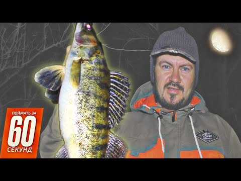 Видео: Как поймать судака в коряжнике / Ловля судака на джиг / Судак