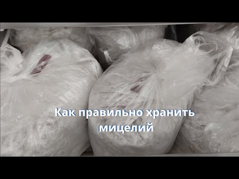 Видео: Как правильно хранить мицелий