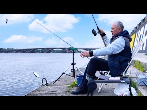 Видео: Фидерная рыбалка на набережной Киева. Снова новые места на реке Днепр