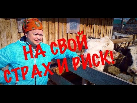 Видео: СРОЧНО! МЕСЯЦ НЕ ОТХОДИТ ПОСЛЕД! ЧТО ДЕЛАТЬ?