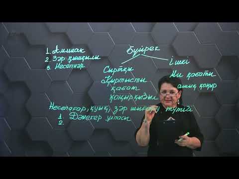 Видео: Шығару жүйесі мүшелерінің құрылысы. 1 бөлім. 8 сынып.