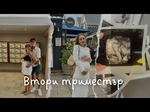 Видео: Втори триместър 👶🏼 🧸🤍