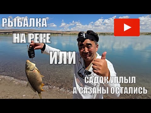 Видео: РЫБАЛКА НА РЕКЕ ИЛИ САЗАН КЛЮЕТ НА СТАРЫЕ СНАСТИ НАМНОГО ЧАЩЕ.  ИЮЛЬ 2024