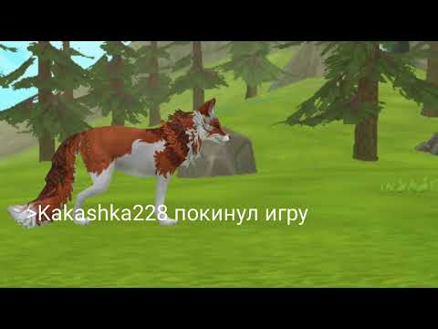 Видео: Типичный онлайн wildcraft