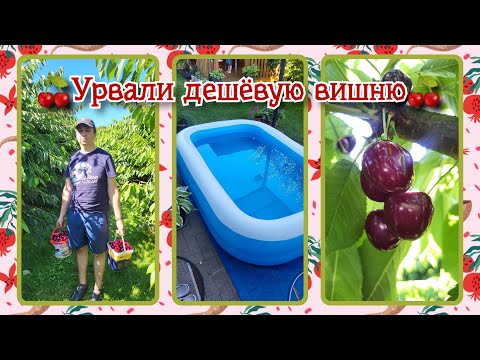 Видео: VLOG из 🇩🇪: Урвали дешёвую вишню! / Поставили детям бассейн.