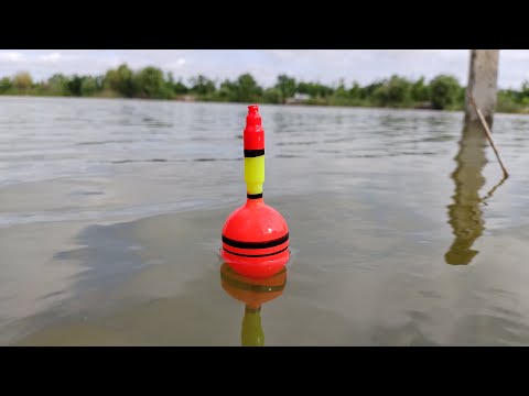 Видео: Сом и НАСТЯ рыбалка на поплавок