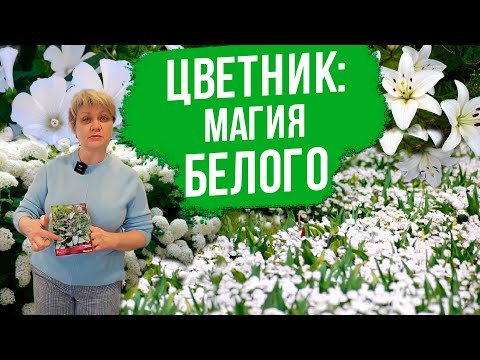 Видео: Монохромный сад с Оксаной Пискаревой. Цветочные композиции в белом оттенке.