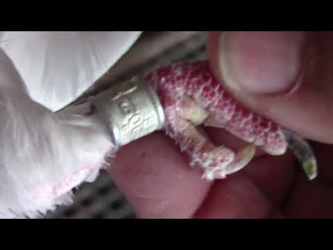 Видео: Ф.298 ч 3.