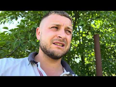 Видео: Як замовити бджоломатки закордон???