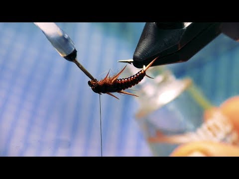 Видео: Личинка Веснянки, Стрекозы и просто эффектная нимфа
