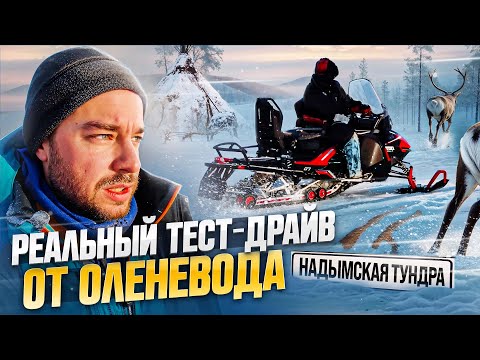 Видео: Оленевод тестирует снегоход Lynx Adventure 600 ACE в тундре. Удивил?