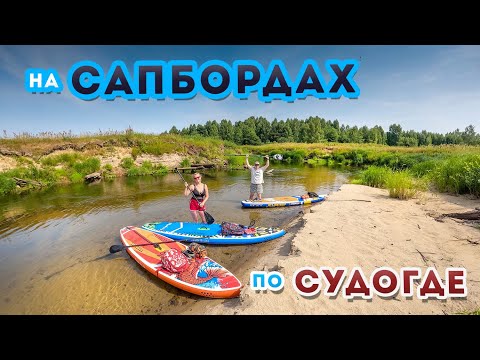 Видео: Сплав на Сапбордах по Судогде 2022 / Сапборд с Алиэкспресс / SUP-board