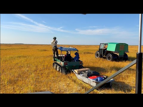Видео: ЧЕРЕЗ РЕКИ И БОЛОТА НА ТАЕЖНЫЕ ОЗЕРА - РЫБКИ ПОЛОВИТЬ | МОЙ ПЕРВЫЙ ВЫЕЗД НА ВЕЗДЕХОДЕ | 1 ЧАСТЬ