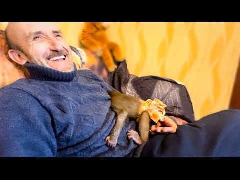 Видео: Люська УМНЕЕТ на глазах! Меня укусила, обои оборвала, я СТРАШНО РУГАЮСЬ, но посмотрите на ее реакцию