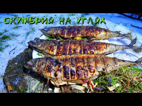 Видео: СКУМБРИЯ НА УГЛЯХ ГОТОВИМ В ЛЕСУ