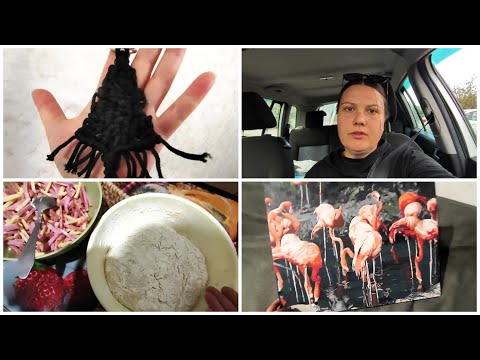 Видео: Учусь плести макраме🙃 | Картина🦩 | В поиске😊