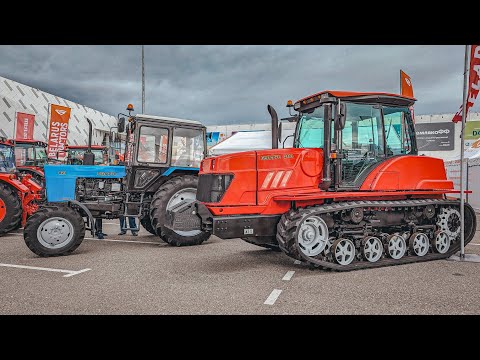 Видео: Цены на Беларусы в конце 2023 году