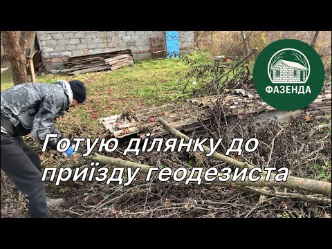 Видео: Купив дачу. Розчищаю ділянку для винесення меж