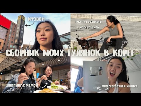 Видео: сборная солянка моих гулянок