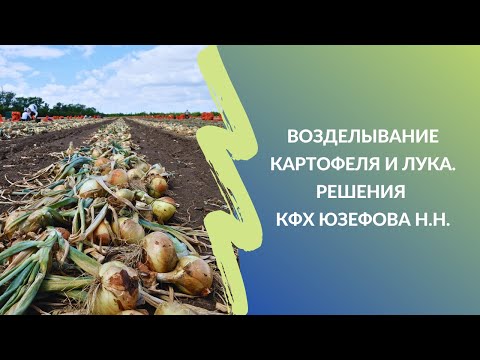 Видео: Возделывание картофеля и озимого лука | Решения КФХ Николая Юзефова