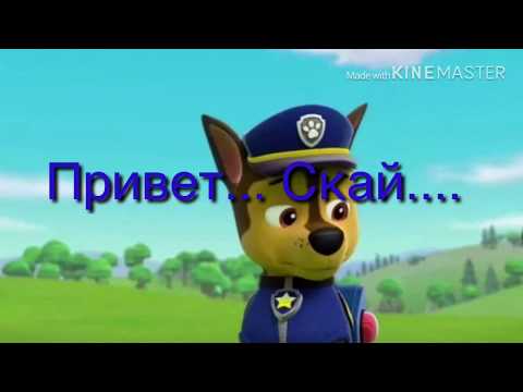 Видео: Комикс: Новый щенок часть 3