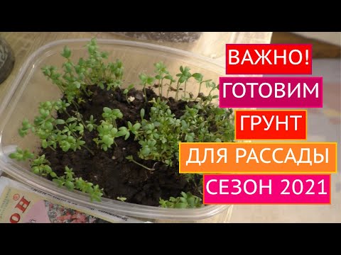 Видео: КАК ПОДГОТОВИТЬ ГРУНТ К ПОСЕВУ РАССАДЫ! ОСНОВНЫЕ ПРАВИЛА ОБРАБОТКИ ПОЧВЫ!