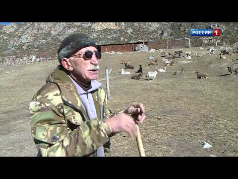 Видео: "Быть хозяином на земле"