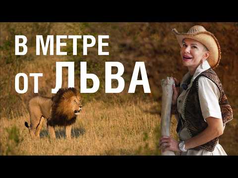 Видео: Сафари мечты и океанский отдых в Мозамбике
