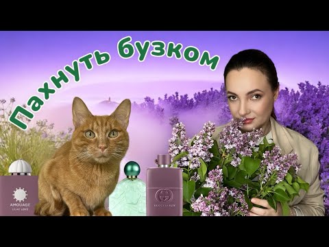Видео: Топ-7 ПАРФУМІВ з нотою БУЗКА 🪻КРАЩІ З НАЙКРАЩИХ ароматів про бузок.