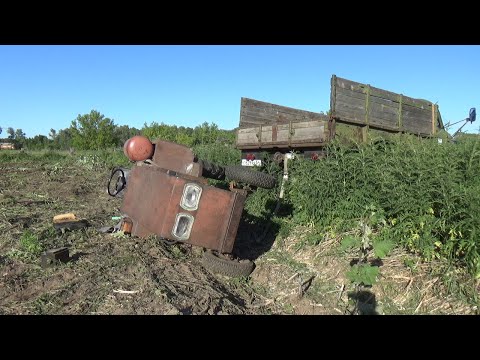 Видео: Трактор устал,лёг отдохнуть .Вспашка огорода в деревне 2020.