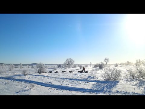 Видео: Что такое "Берингия"?