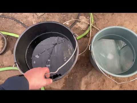 Видео: Первоя подкормка огурца в рассаде.