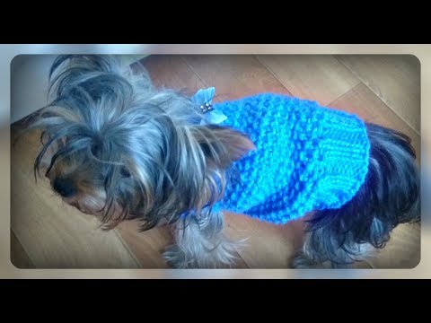 Видео: Осенняя кофта на маленькую собачку, спицами